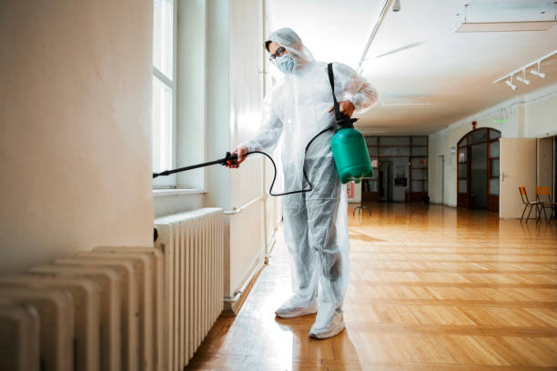 Trusted Fort Lauderdale, FL Pest Control Experts